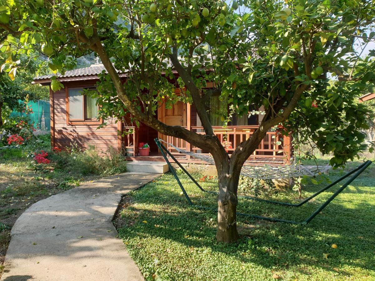 Cirali Villas 2 외부 사진