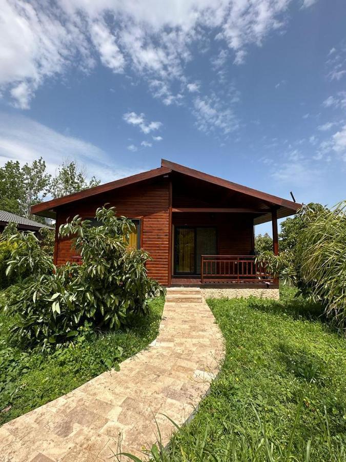 Cirali Villas 2 외부 사진