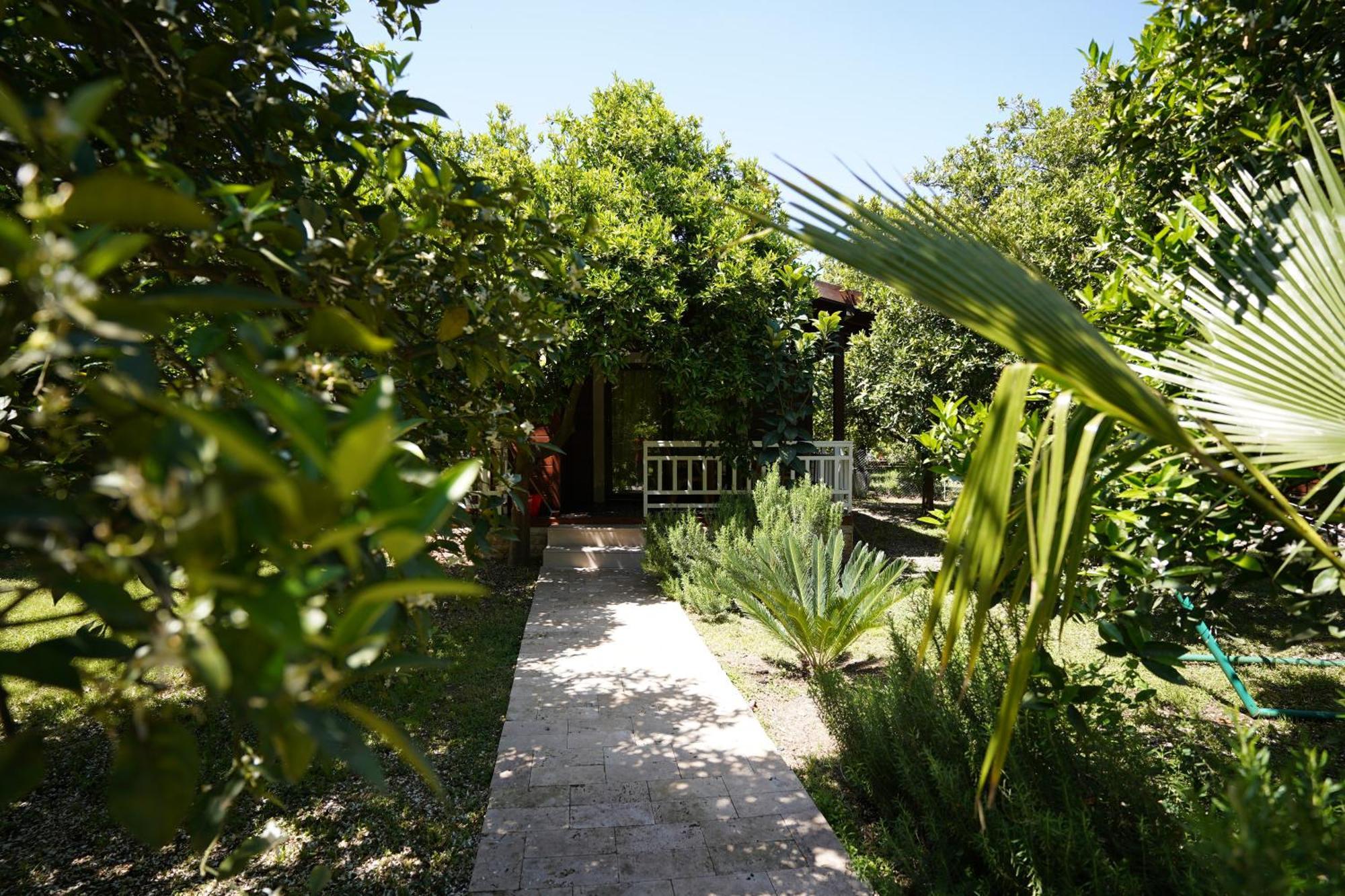 Cirali Villas 2 외부 사진